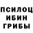 Галлюциногенные грибы прущие грибы Scott336