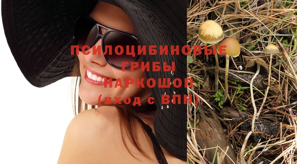 бошки Абинск