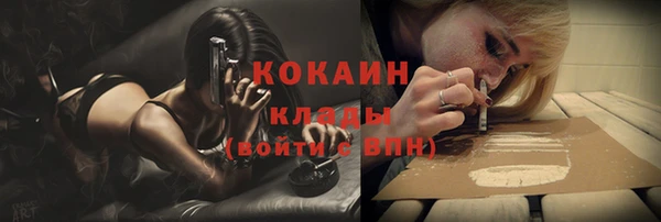 ПСИЛОЦИБИНОВЫЕ ГРИБЫ Абаза