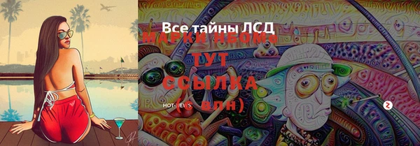ПСИЛОЦИБИНОВЫЕ ГРИБЫ Абаза