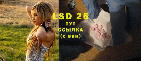 ПСИЛОЦИБИНОВЫЕ ГРИБЫ Абаза