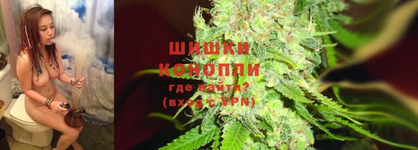 ГАЛЛЮЦИНОГЕННЫЕ ГРИБЫ Алзамай