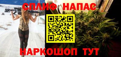 СК Краснознаменск
