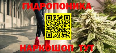 СК Краснознаменск