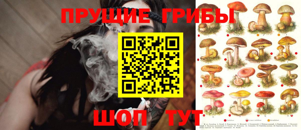 Псилоцибиновые грибы мицелий Избербаш
